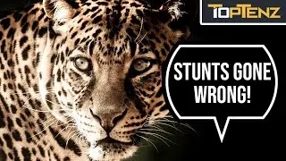 10 Historical Publicity Stunts That Backfired Miserably