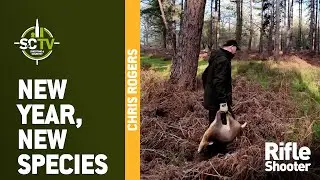 S&C TV | Новый год &ndash; Новые виды | Управление популяцией оленей с Крисом Роджерсом 49