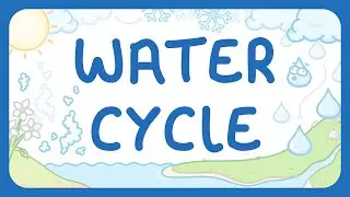 The Water Cycle | Role of Gravity & Sunlight (Middle School Science)