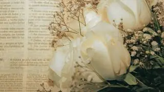 Música Clássica - Alívio para o stress 🎼💞
