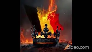 The Flemish Plight - The Belgian Crown