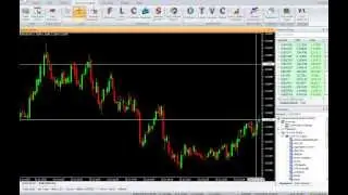 BEARS - VertexFX VTL Script