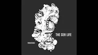 The Sea Life - NY Models