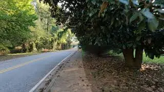 GoPro HERO10 Raw Video Test | 5.3k 60fps | Color (Natural), Sharpness (Low)