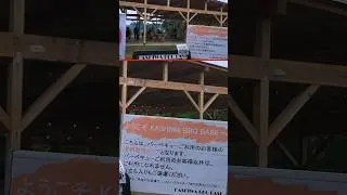【8K】BBQ🇯🇵Japan's Spring Festival in May🙌柏の葉公園 スプリングフェスタ👯