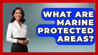 What Are Marine Protected Areas? - The Marine Life Explorer