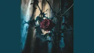 Words We Never Said (Atmospheric Version)