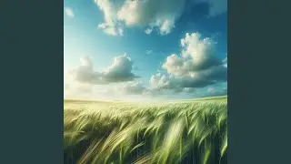 Tire Marks on Time
