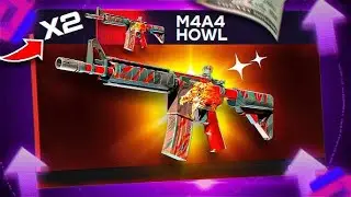 FAN TOLD ME TO OPEN HIS CASE AND I WON M4A4 HOWL