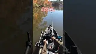 When She's NOT Catching them!