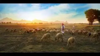 Beyond Nature&rsquo;s Limits: The Donkey-Pig Hybrid That Shouldn&rsquo;t Exist!