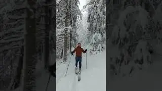 Backby Skinbased skiing