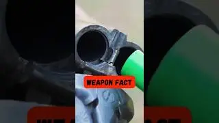 The Spread of Shutgun Pellets #gun #weapons #war #shotgun #interesting #battlefield #facts #shorts