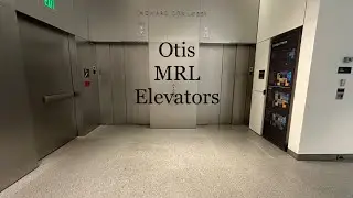 Lobby Elevators at Howard Cox Wing; MFA; Boston MA