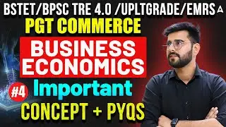 UP LT Grade/BPSC TRE/BSTET Commerce Classes | LT Grade Business Economics Important Questions & PYQ