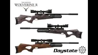 REVIEW DAYSTATE WOLVERINE R CAL 22 ESPAÑOL