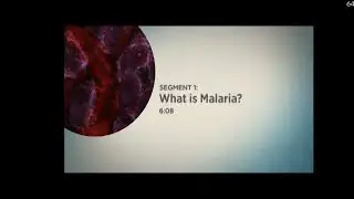 Malaria overview, prevention, diagnosis and treatment from discovery learning alliance.
