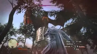 Punching the Devilfire Grove Drake