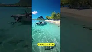 Unveiling Mauritius: Tropical Paradise, Oceanic Marvels, and Nature's Hidden Gems