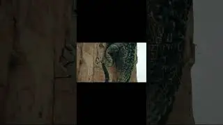 Super Crocodile fell off a cliff struggling to eat the human! | Mega Crocodile | YOUKU MONSTER MOVIE
