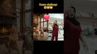 #dance  KITTY'S😻 &ME🧑&zwj;🎤 DANCE CHALLENGE😍 #trending #cat #dreamscreenai #viral  #challenge
