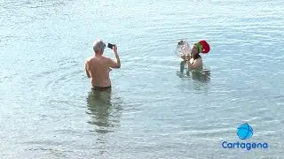 Los cartageneros disfrutan del primer baño del año en Cala Cortina