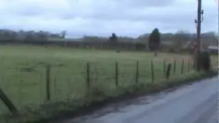 Bekesbourne Walk Part 13