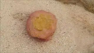 מעלה עלי, מכתש קטן - סרט