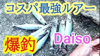 釣り　サゴシ爆釣　コスパ最強ルアーはこれ　Daiso　ダイソーメタルジグ　 #釣り #フィッシング #ルアー釣り #ショアジギング #青物  #シーバス　#ブリ　#メジロ　#サゴシ　#サワラ