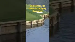 Victor Hovland's Near Miss on the 17th at the Players Championship #golf #shorts #viral #short