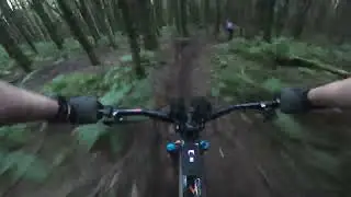 Fullmoto Trail 2 - Pontypool forest - Enduro single track POV 08 10 25
