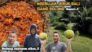 JANGAN DI TIRU !! SEDANG GA ENAK BADAN PENGEN NGERUJAK JERUK BALI