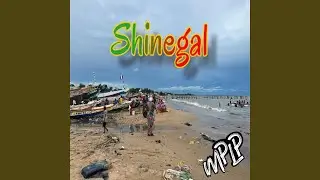 Shinegal
