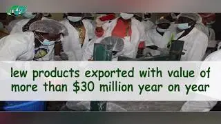 WTPO18 award winner: Nigerian Export Promotion Council