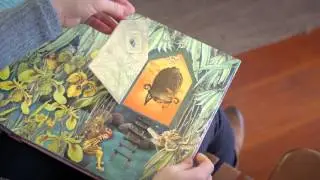 Magical Doors Book SKU# 867532 -  Magic Cabin