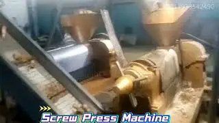How a Screw Press Machine Works? High-Efficiency Oil & Juice Extraction