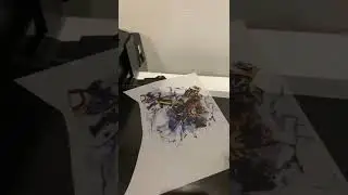 Отзыв на принтер DTF от компании PrintX
