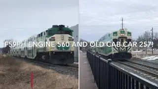Seeing The Rare F59PH Engine 560 and Old Cab Car 257 at Oriole Drive and The Newmarket Go Station