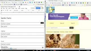 Spider Mini Research