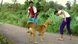 പൊരിഞ്ഞ അടി
