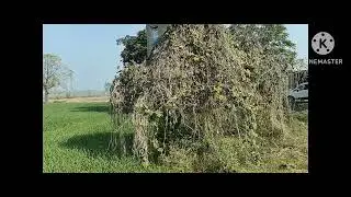 9 kille land for sale don't miss this  great deal