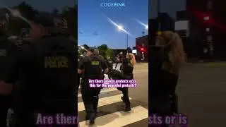 Capitol Police in Riot Gear for the DNC in Chicago