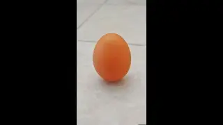 Egg balancing at Spring begins/立春立蛋