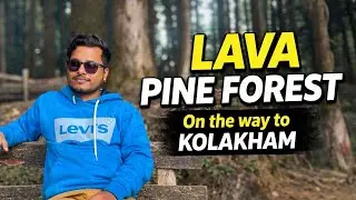 Lava Pine Forest 😍 | On the Way to Kolakham | Hidden Forest of North Bengal #lavapineforest 