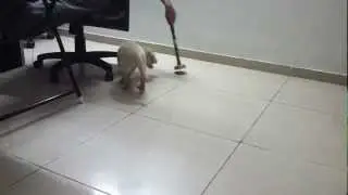 Got to bite the pipe