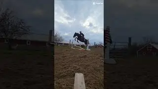 Dream! #equestrian #horse #jumping #trend #riding #fyp #pony #viralvideo #eq #riding