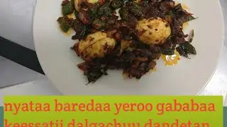 Akkati haqaquu afellee hallaa garin dalanuu kotaa ilalaa hedduu miyyaa