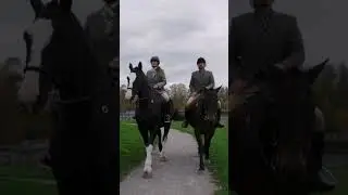 A Look Into Elevated Equestrian Life | Downing Street Group