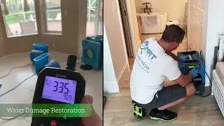 Same-Day Mold Inspection by Mold Response Team
