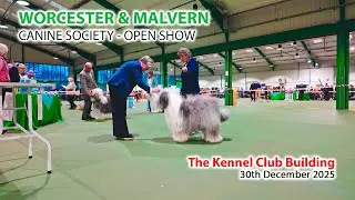 Applejem   Worcester & Malvern Canine Society   30122025